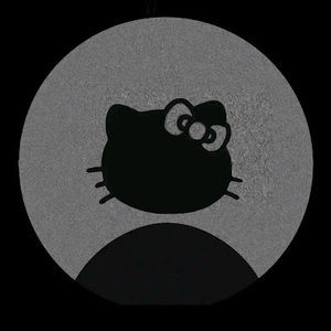 Meet your Posher, Audrina